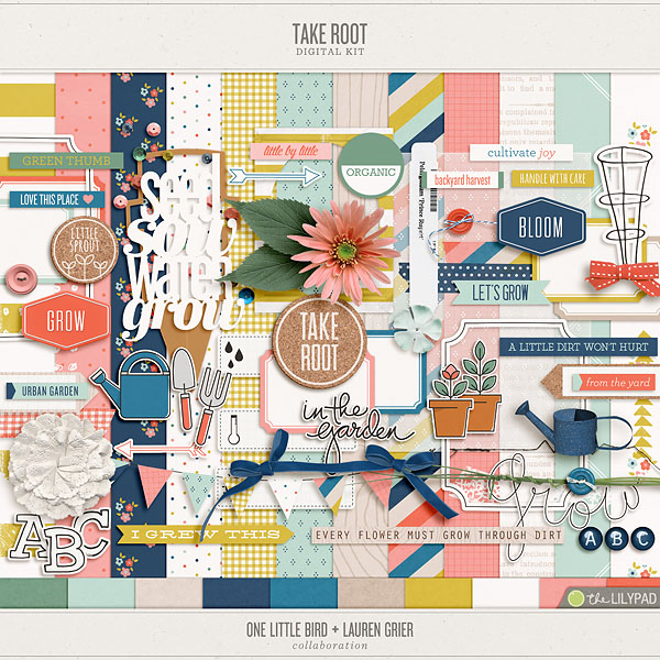 Take Root (A Collaboration)