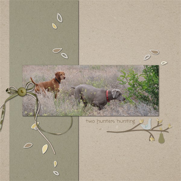 Pear Tree - Image 7