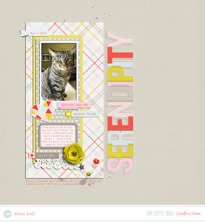 Serendipity Papers - Image 10
