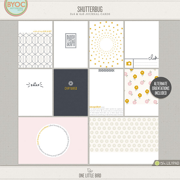 Shutterbug Journaling Cards