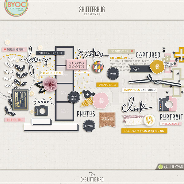 Shutterbug Elements