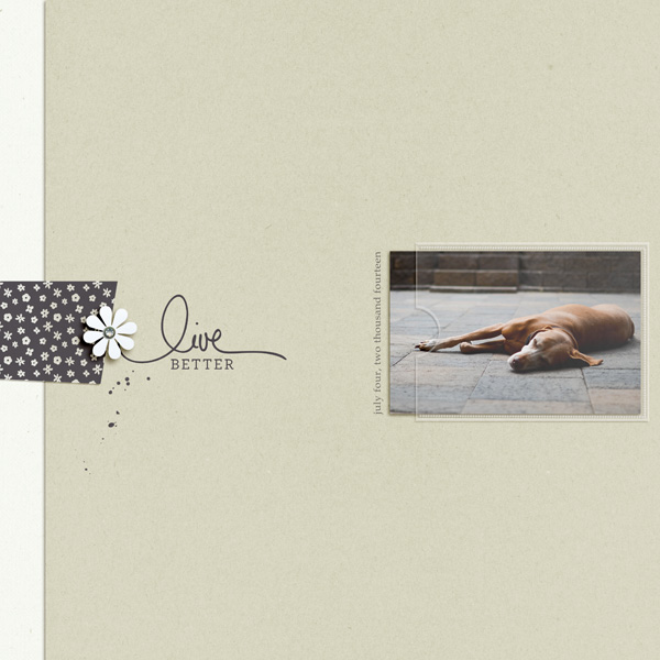 The Story Unfolds - Image 5