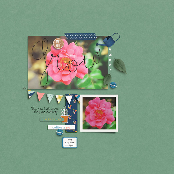 Take Root (A Collaboration) - Image 10