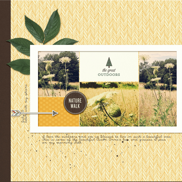 Trailblazer - Image 4