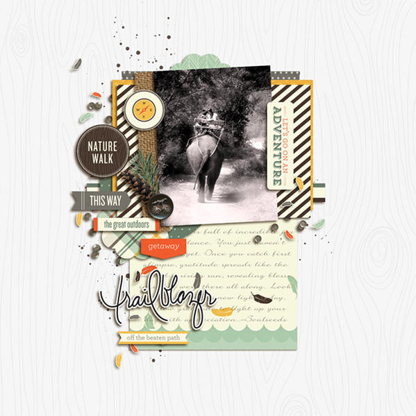 Trailblazer - Image 9