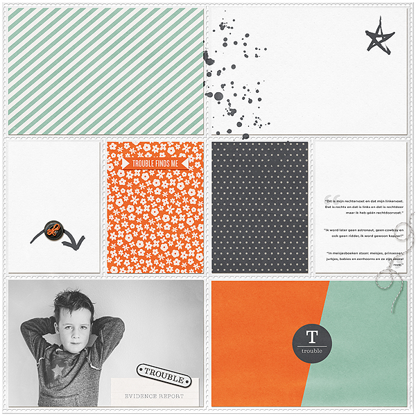 Troublemaker Papers - Image 3
