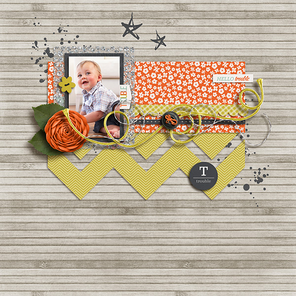 Troublemaker Papers - Image 9