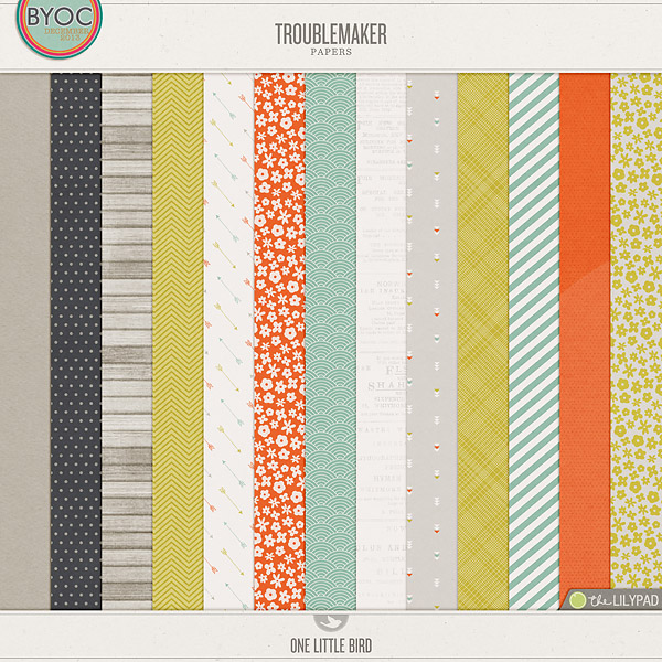 Troublemaker Papers
