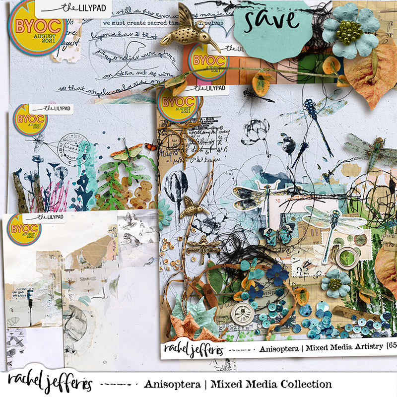 Anisoptera: Mixed Media Collection
