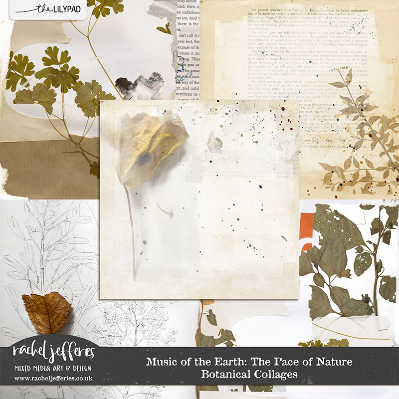 Music of the Earth: The Pace of Nature | Botanical Collages
