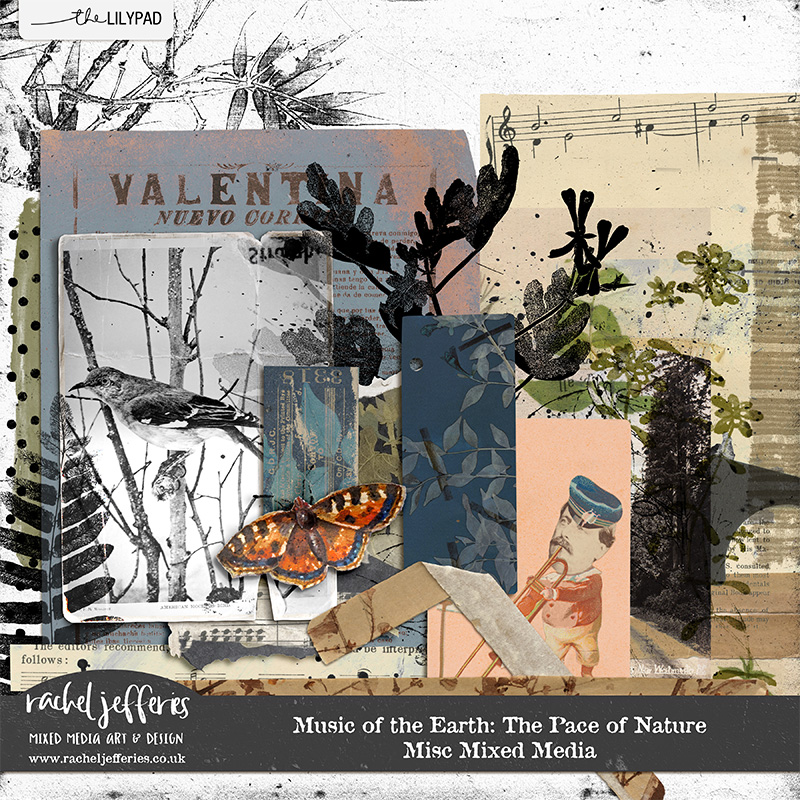 Music of the Earth: The Pace of Nature | Misc Mixed Media