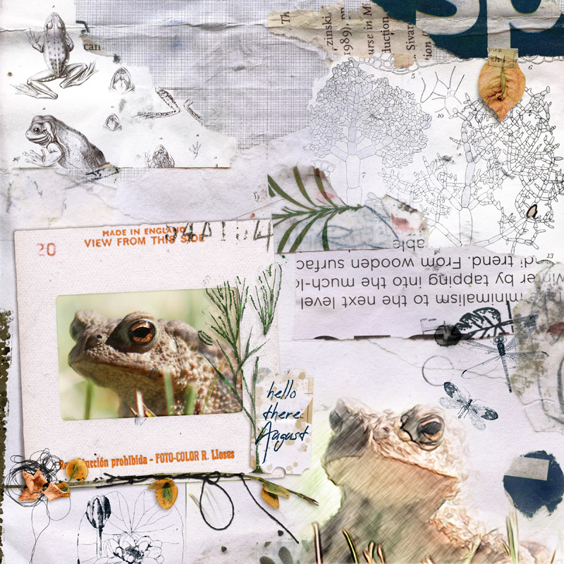 Anisoptera: Mixed Media Artistry - Image 10