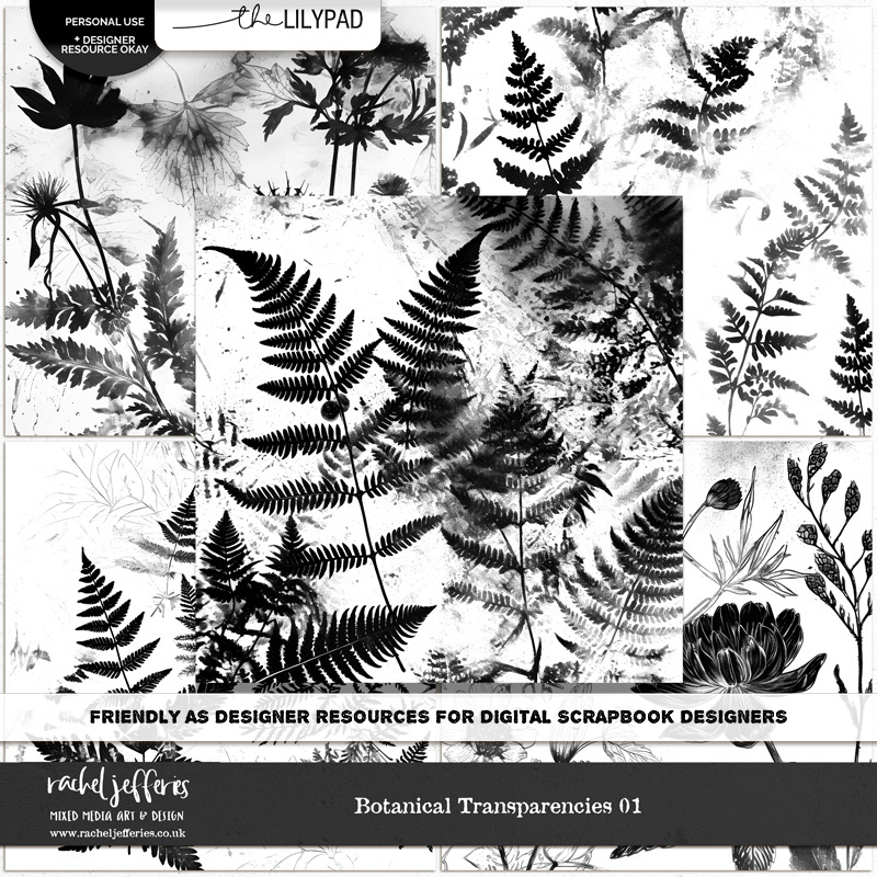 Botanical Transparencies 01