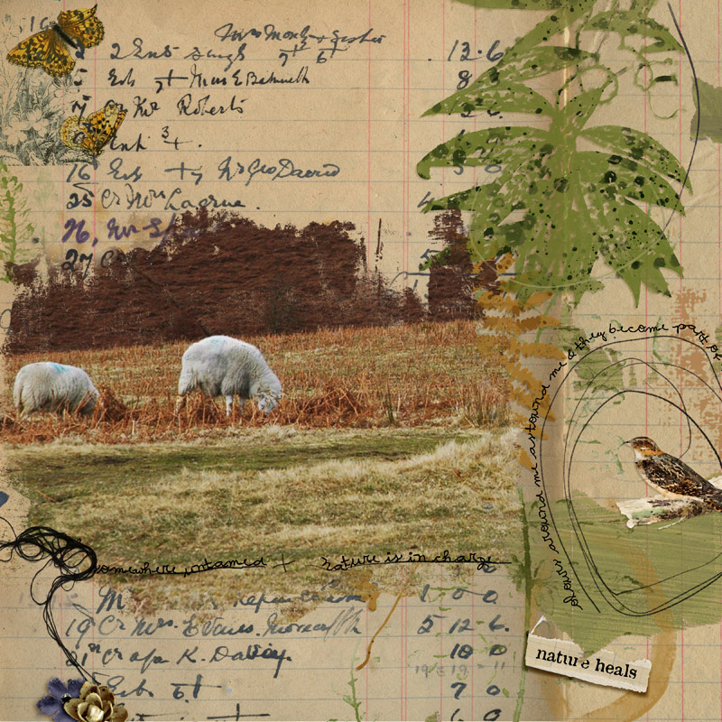 Heathland: Aged Paperie - Image 6