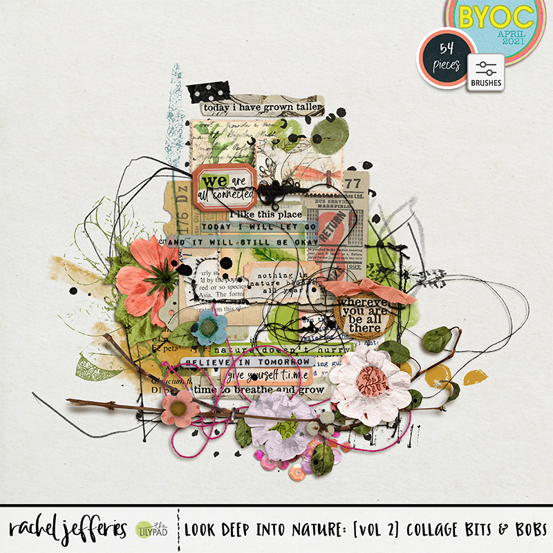 Look Deep into Nature: Volume 2 | Collage Bits and Bobs