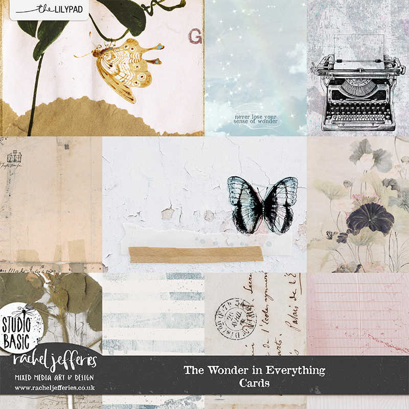 The Wonder in Everything | Cards