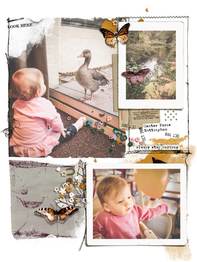 Stay Curious: Butterflies - Image 9