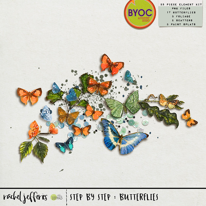 Step By Step: Butterflies