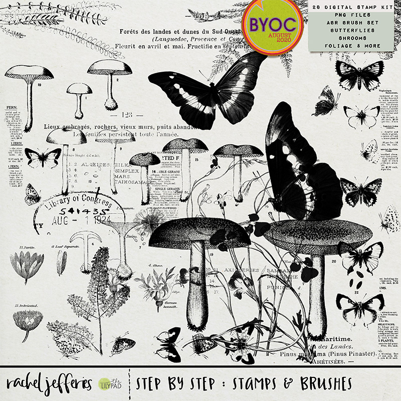 Step By Step: Stamps & Brushes