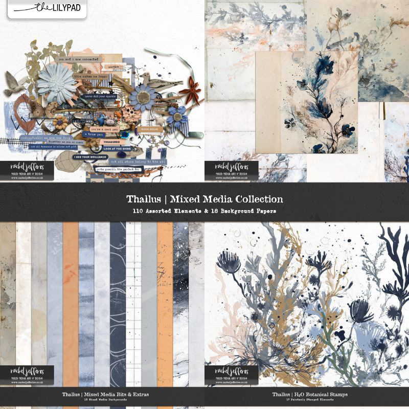 Thallus | The Complete Mixed Media Collection