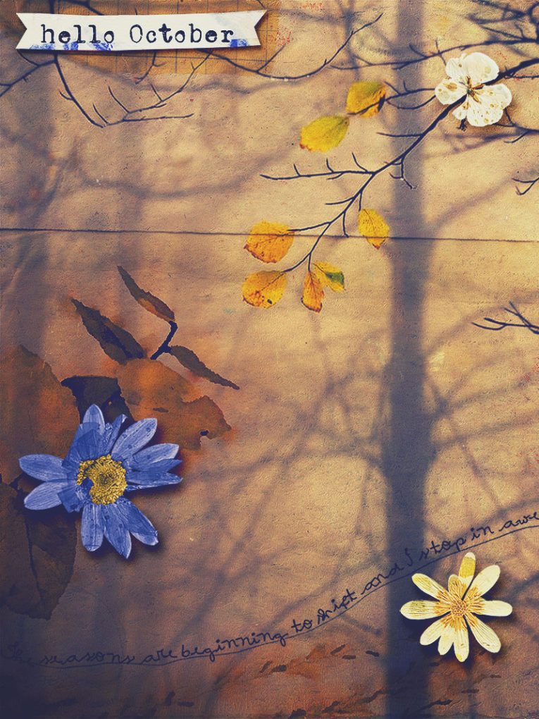 Heathland: Aged Paperie - Image 7