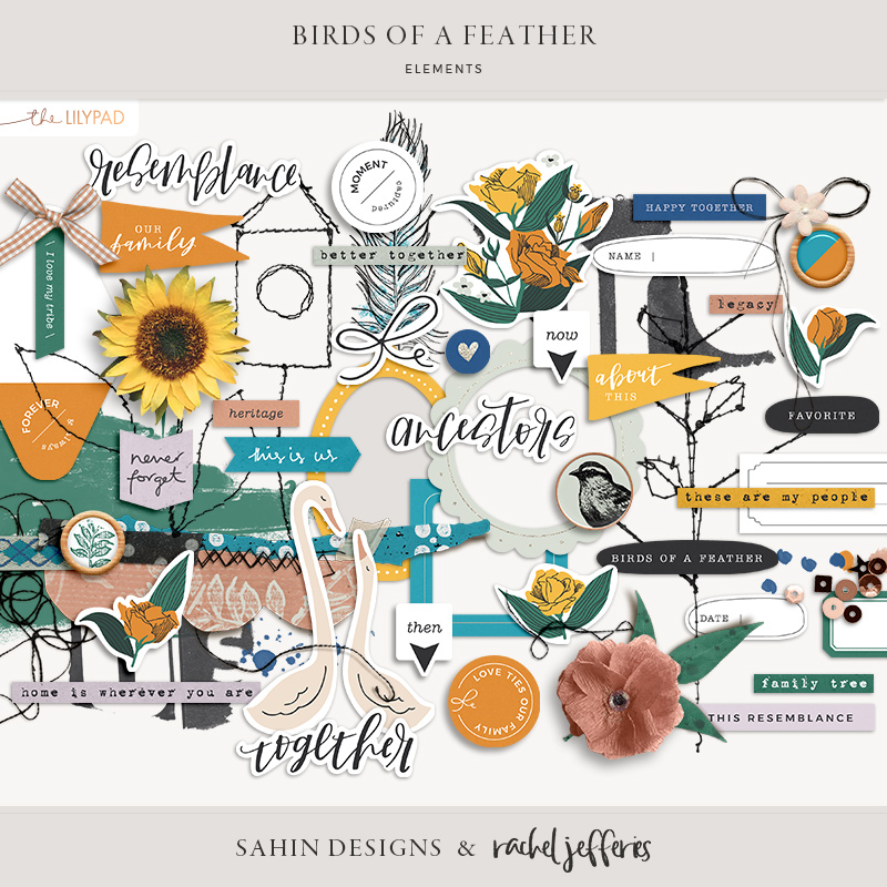 Birds Of A Feather Elements