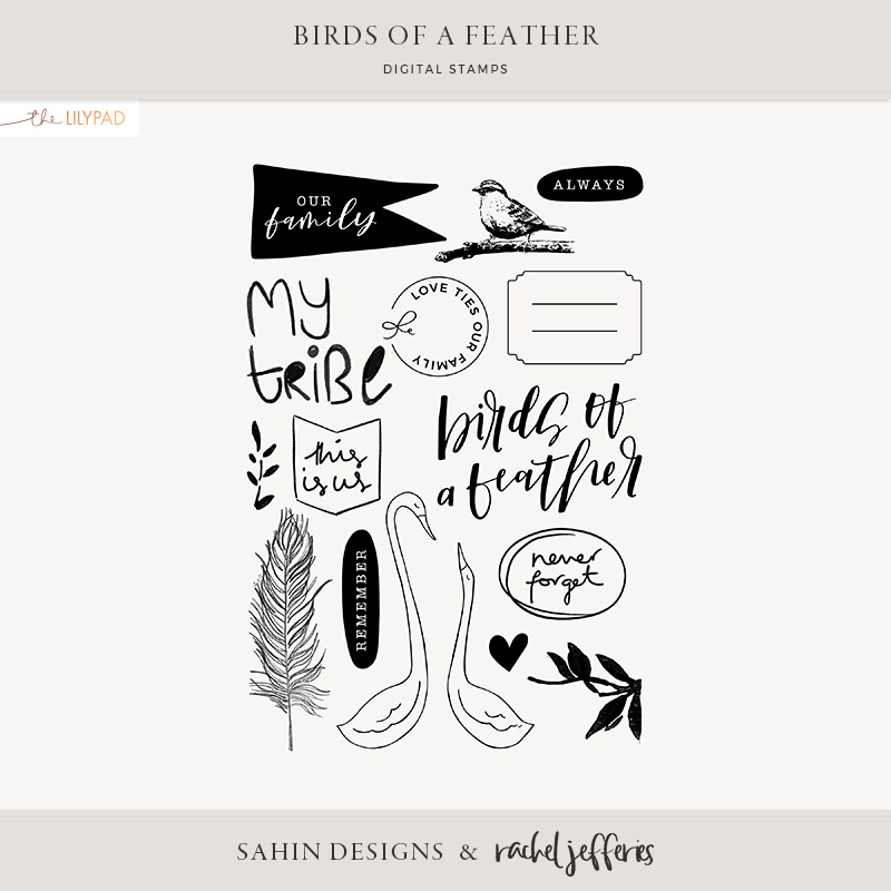 Birds Of A Feather Stamps