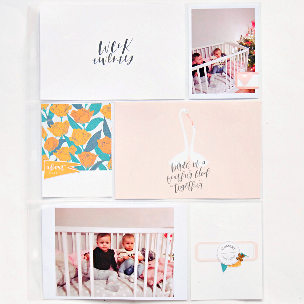 Birds Of A Feather Cards - Image 8