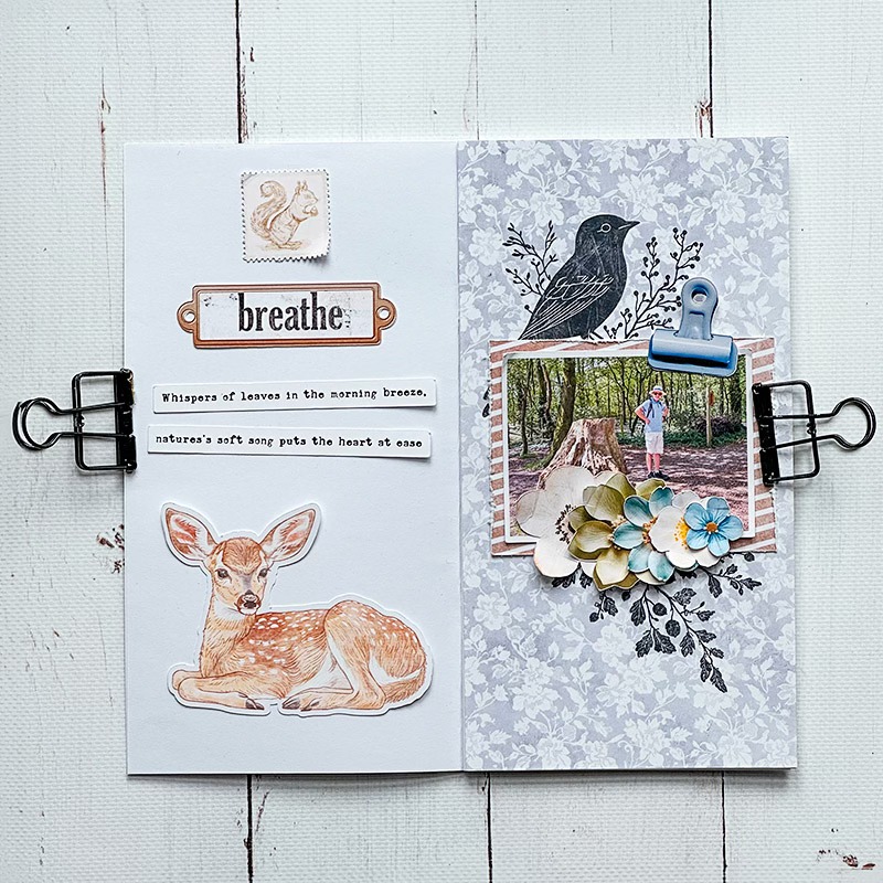 Wildwood Tales | Bundle - Image 8