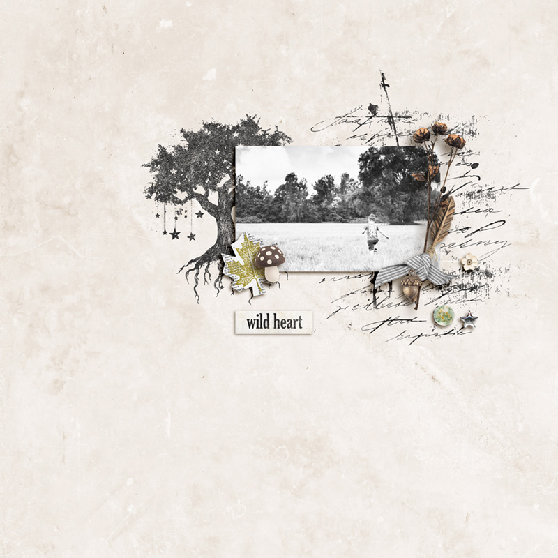Wildwood Tales | Bundle - Image 9