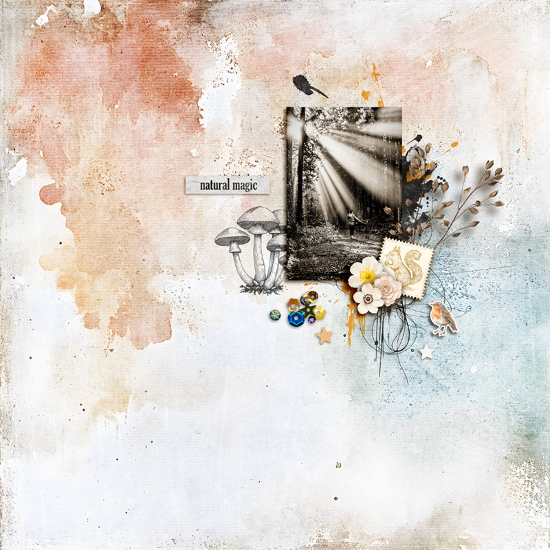 Wildwood Tales | Bundle - Image 10