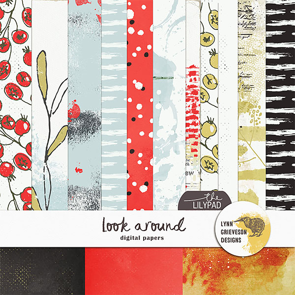 Look Around Paper Pack