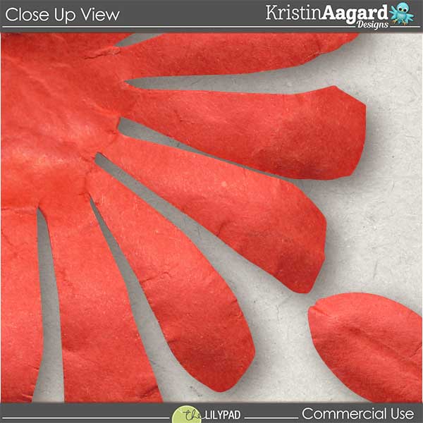 CU Hand Cut Paper Flowers 7 - Image 2