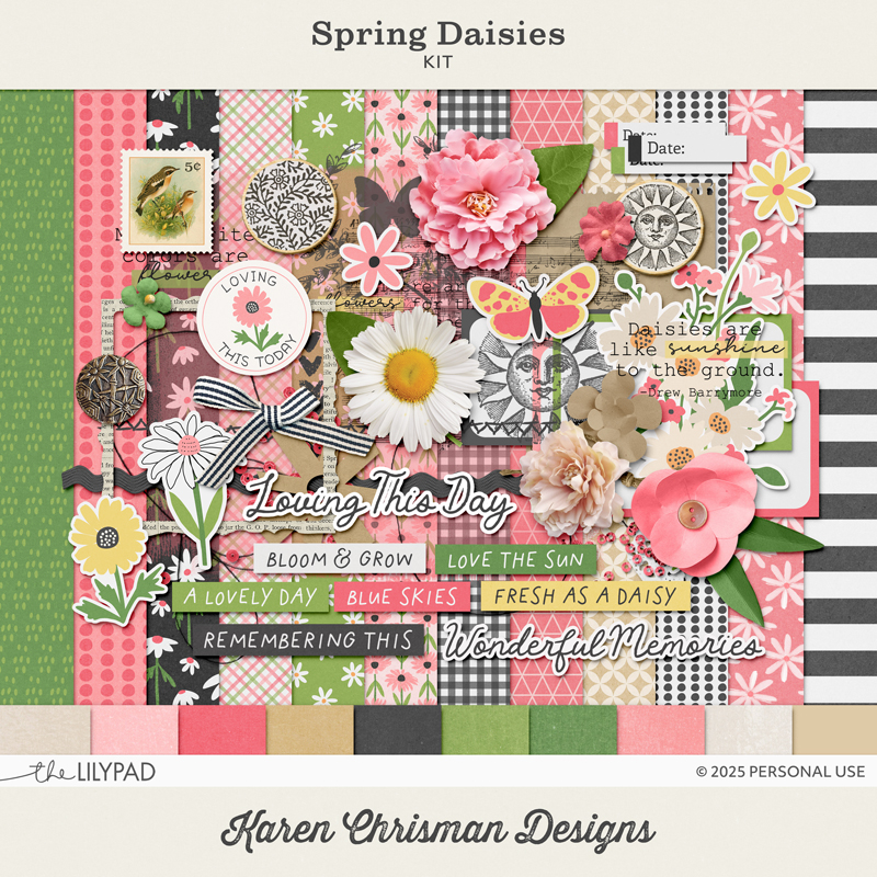 Spring Daisies | Kit