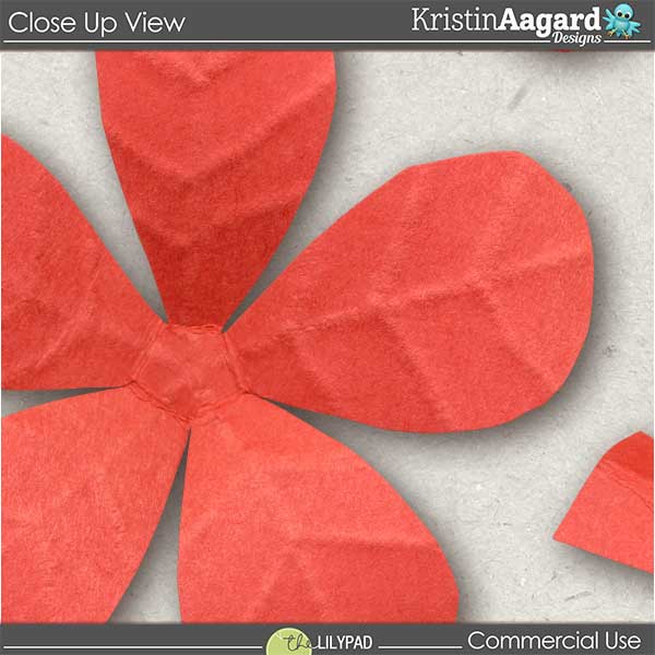 CU Hand Cut Paper Flowers 6 - Image 2