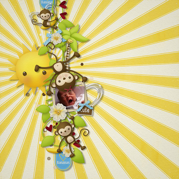 Monkey - Image 3