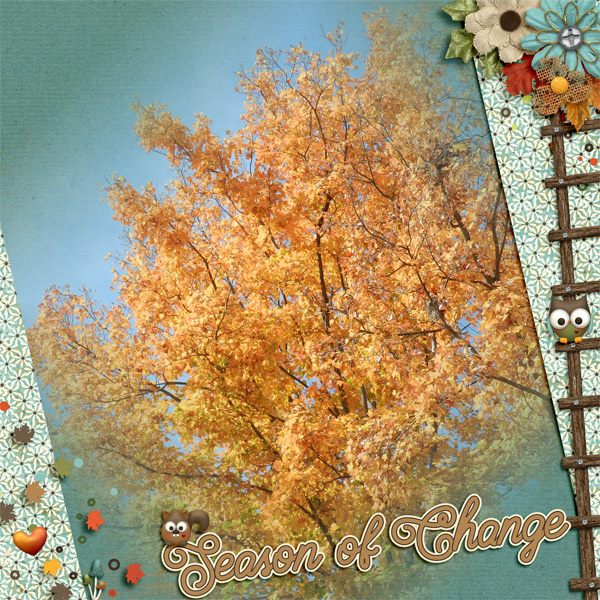 Wonder Fall - Image 7