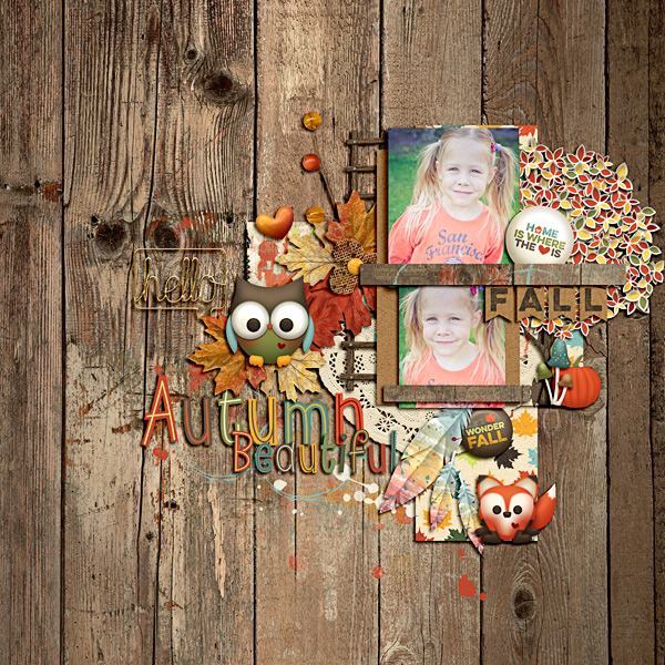 Wonder Fall - Image 9