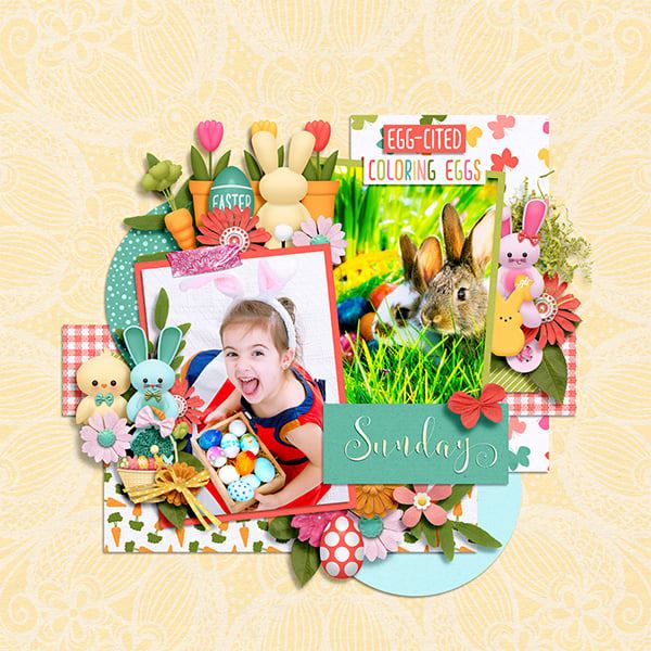Bunny Trail - Image 3