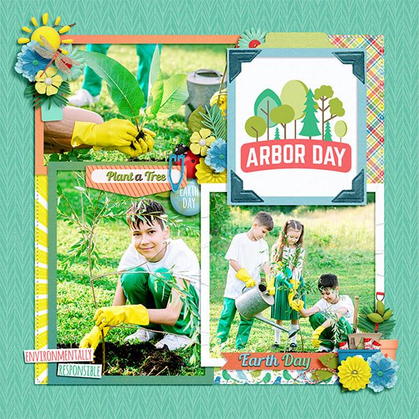 Earth Friendly - Kit - Image 2