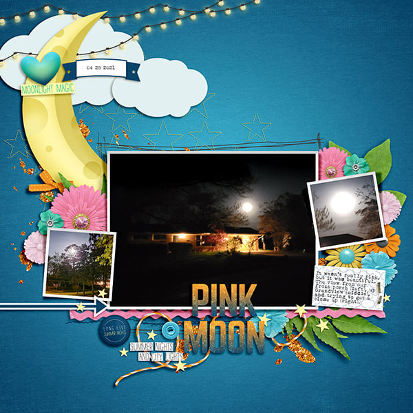 Starlit Summer - Image 2