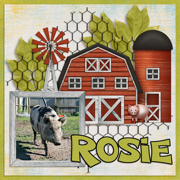 Maggie's Farm - Image 3