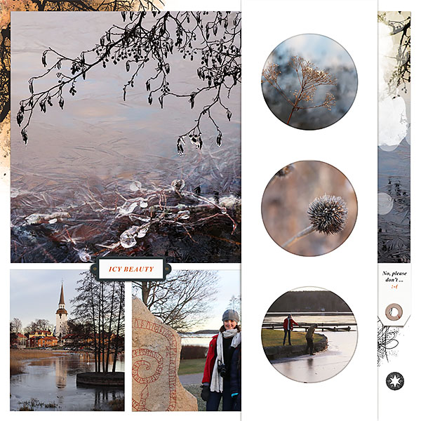See This Album No2 - Image 6