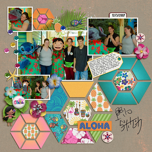 Aloha Elements - Image 2