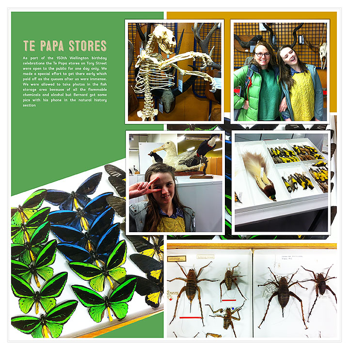 Color Blocked It templates - Image 4
