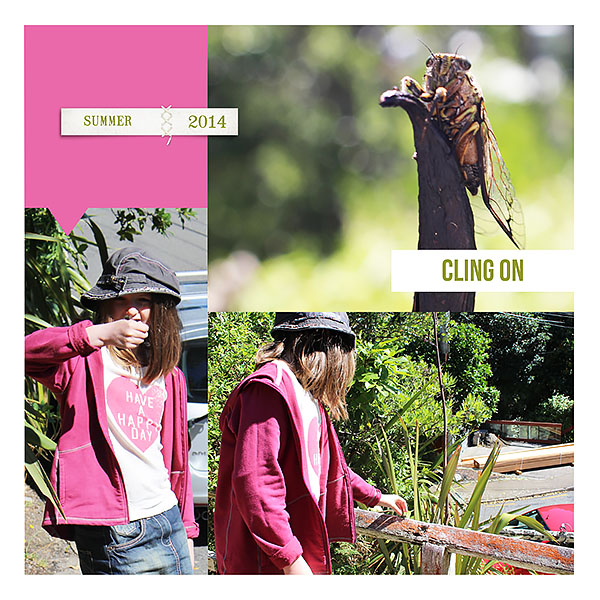 To The Point Album - Image 3