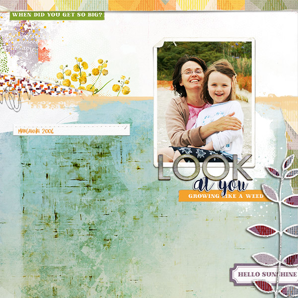Sprout Paper Pack - Image 4