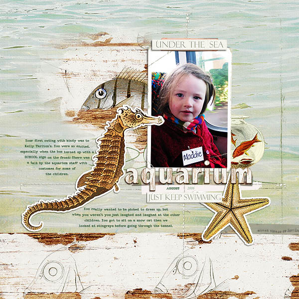 Aquarius mini-kit - Image 2