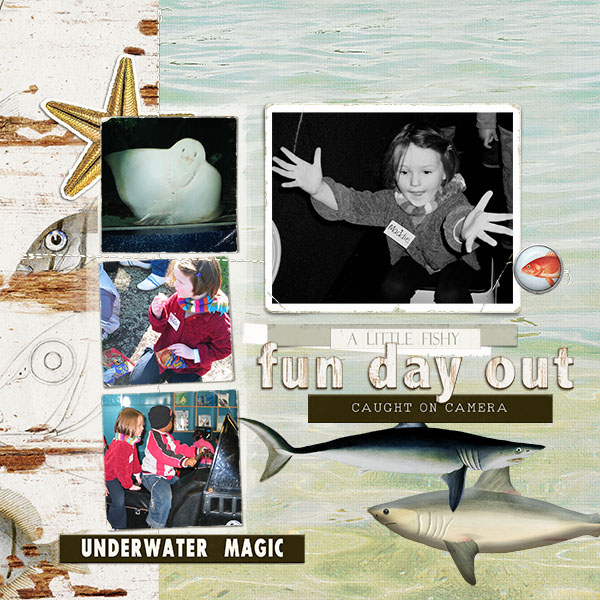 Aquarius mini-kit - Image 3