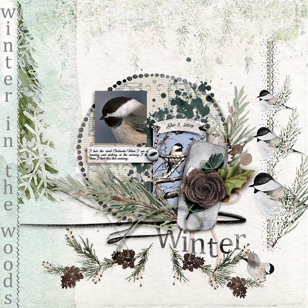 Winter in the Woods - Image 6